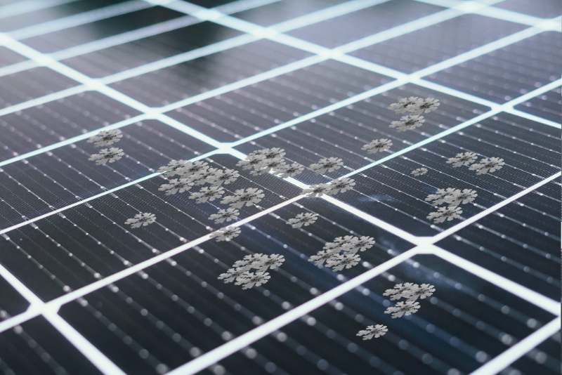 Flechten 20 %